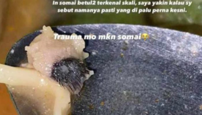 Viral di Kota Palu, Siomay Diduga Isi Kulit Tikus