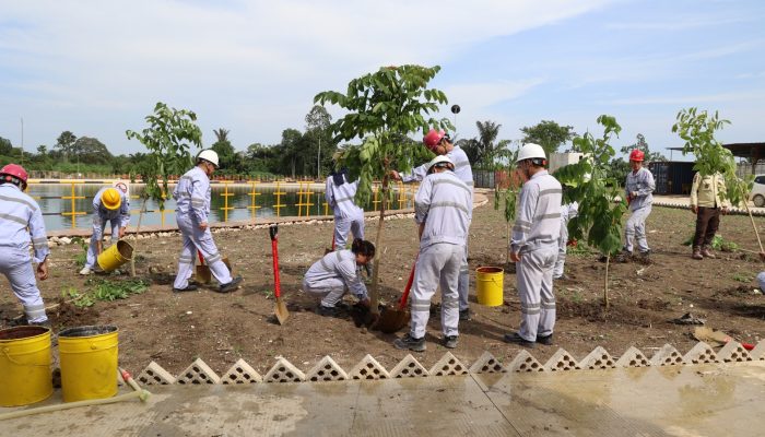 Peduli Lingkungan, Huabao Morowali Tanam Ratusan Pohon di Area Industri