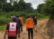 Seorang Petani Gaharu Morut Hilang di Hutan Ensa, Personel Terkendala Sinyal