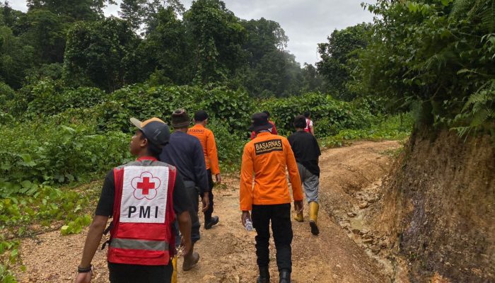 Seorang Petani Gaharu Morut Hilang di Hutan Ensa, Personel Terkendala Sinyal