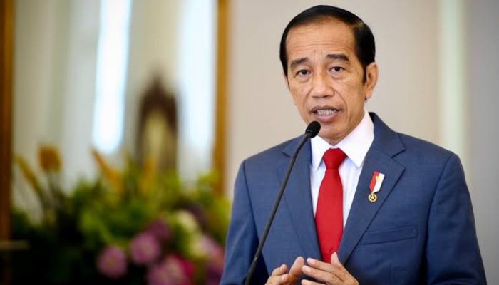 Presiden Joko Widodo Akan Berkunjung ke Sulawesi Tengah, Ini Agenda dan Lokasinya