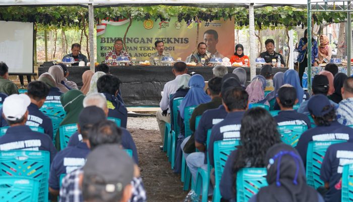 Kadis Pertanian dan Ketahanan Pangan Kota Palu Hadiri Bimtek Kapabilitas Petani Anggur
