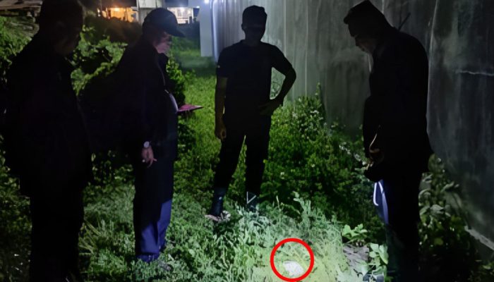 Kronologi Penyeludupan 1000 Butir Obat THD Digagalkan Petugas Lapas Luwuk, Pelaku Awalnya Ngaku Buang Air Kecil