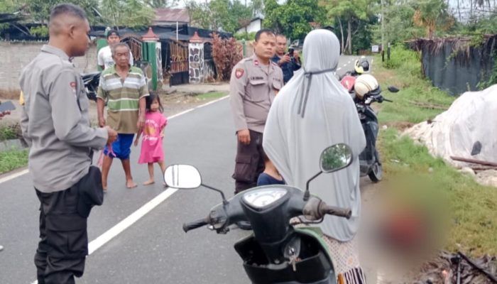 Kronologi Penemuan Mayat Bayi di Sigi, Dibungkus Pakai Kantong Kresek