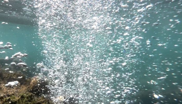 Badan Geologi Temukan Hidrogen Alami di Sulteng, Potensi Energi Bersih Masa Depan