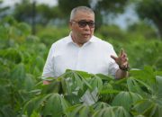 Ahmad Ali Berikan Solusi soal Kenaikan Komoditas di Sulteng