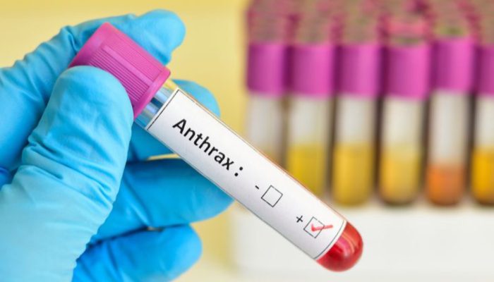 Bantah Tudingan Gubernur Sulteng soal Penyakit Antraks, Pemerintah Provinsi Gorontalo Imbau Masyarakat Waspada Hoaks