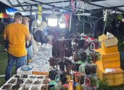 Pelaku UMKM Ikut Ramaikan Deklarasi Anwar Hafid dan Reny Lamadjido di Banawa Donggala