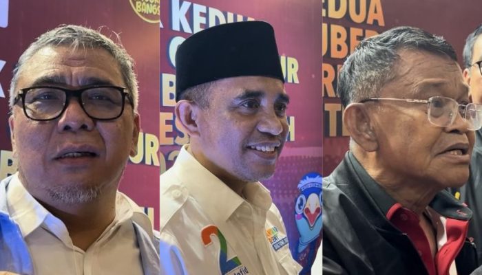 Pilkada 2024, Berikut Hasil Suara Calon Gubernur-Wakil Gubernur Sulteng Per TPS di Kecamatan Tomini Parimo