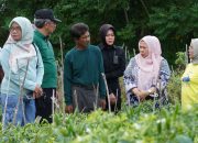 Wakil Wali Kota Palu Reny Lamadjido Kunjungi Kebun Kelompok Tani Cipta Lestari