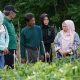 Wakil Wali Kota Palu Reny Lamadjido Kunjungi Kebun Kelompok Tani Cipta Lestari