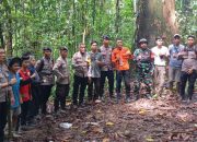 Kronologi 6 Pendaki Tersesat di Gunung Ponteoa Morut