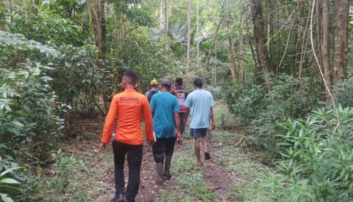Kronologi Seorang Pria Hilang di Perkebunan Desa Salipi Banggai