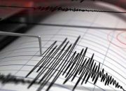 BREAKING NEWS: Gempa Magnitudo 6,1 Guncang Parigi Moutong