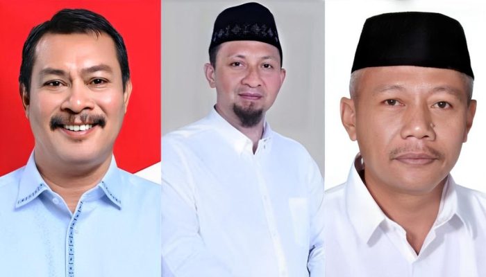 3 Calon Bupati di Sulteng Bakal Dilantik Februari, Pemprov Harap Sengketa Pilkada Selesai Maret 2025