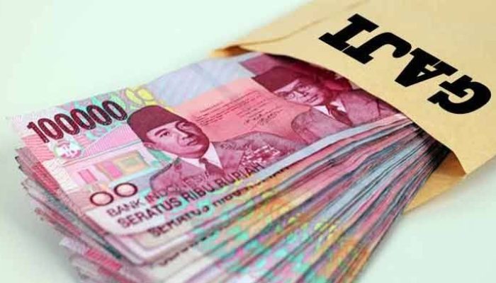 Pembayaran Gaji PNS dan PPPK di Sulteng Bulan Januari 2025 Tertunda, Ini Penyebabnya