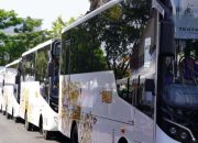 Pemerintah Kota Palu Sediakan Bus Gratis Rute Tawaeli-Toboli Setiap Weekend, Catat Waktunya