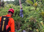 Kronologi Bocah 5 Tahun Hilang di Perkebunan Desa Bone Baru Banggai Laut