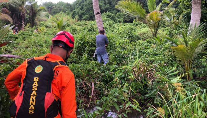 Kronologi Bocah 5 Tahun Hilang di Perkebunan Desa Bone Baru Banggai Laut