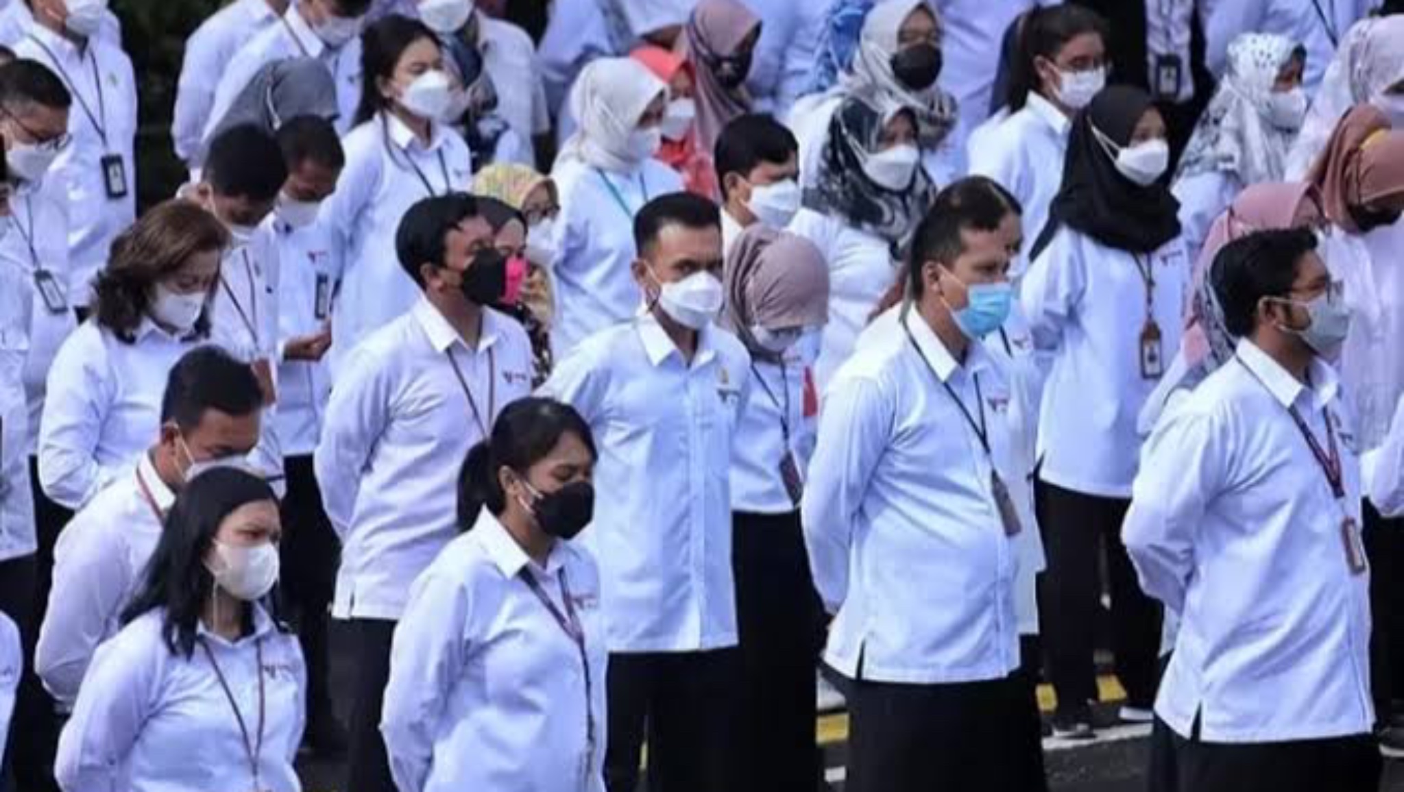 Pegawai Honorer Non Database BKN dan Peserta yang Lulus Seleksi PPPK di Sulteng Batal Dirumahkan, Tetap Digaji Tapi Ini Syaratnya