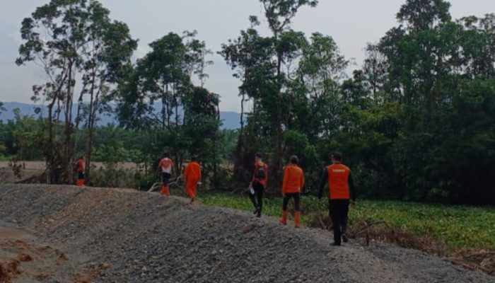 Seorang Warga Morut Hilang usai Diterkam Buaya saat Mencari Besi Tua