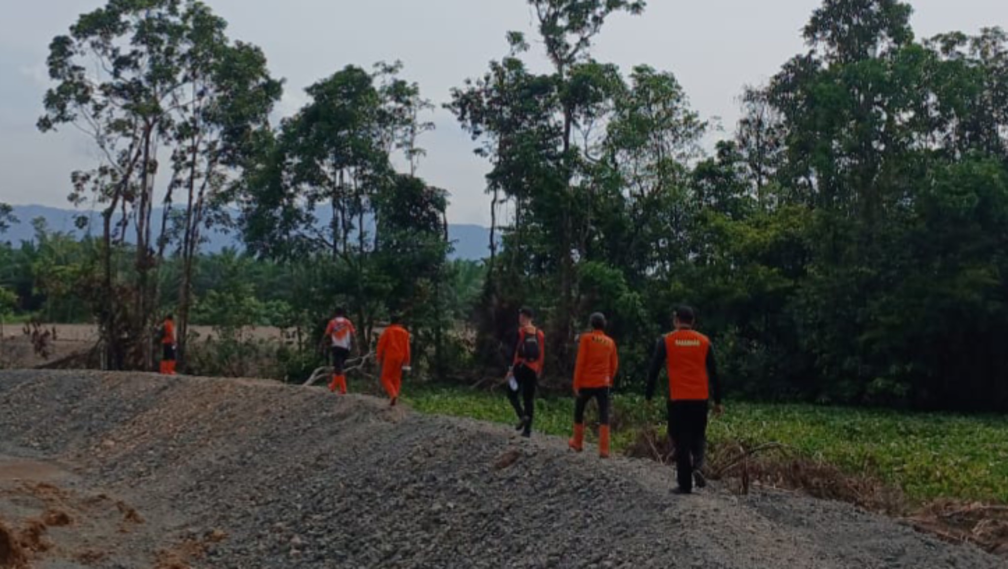 Seorang Warga Morut Hilang usai Diterkam Buaya saat Mencari Besi Tua
