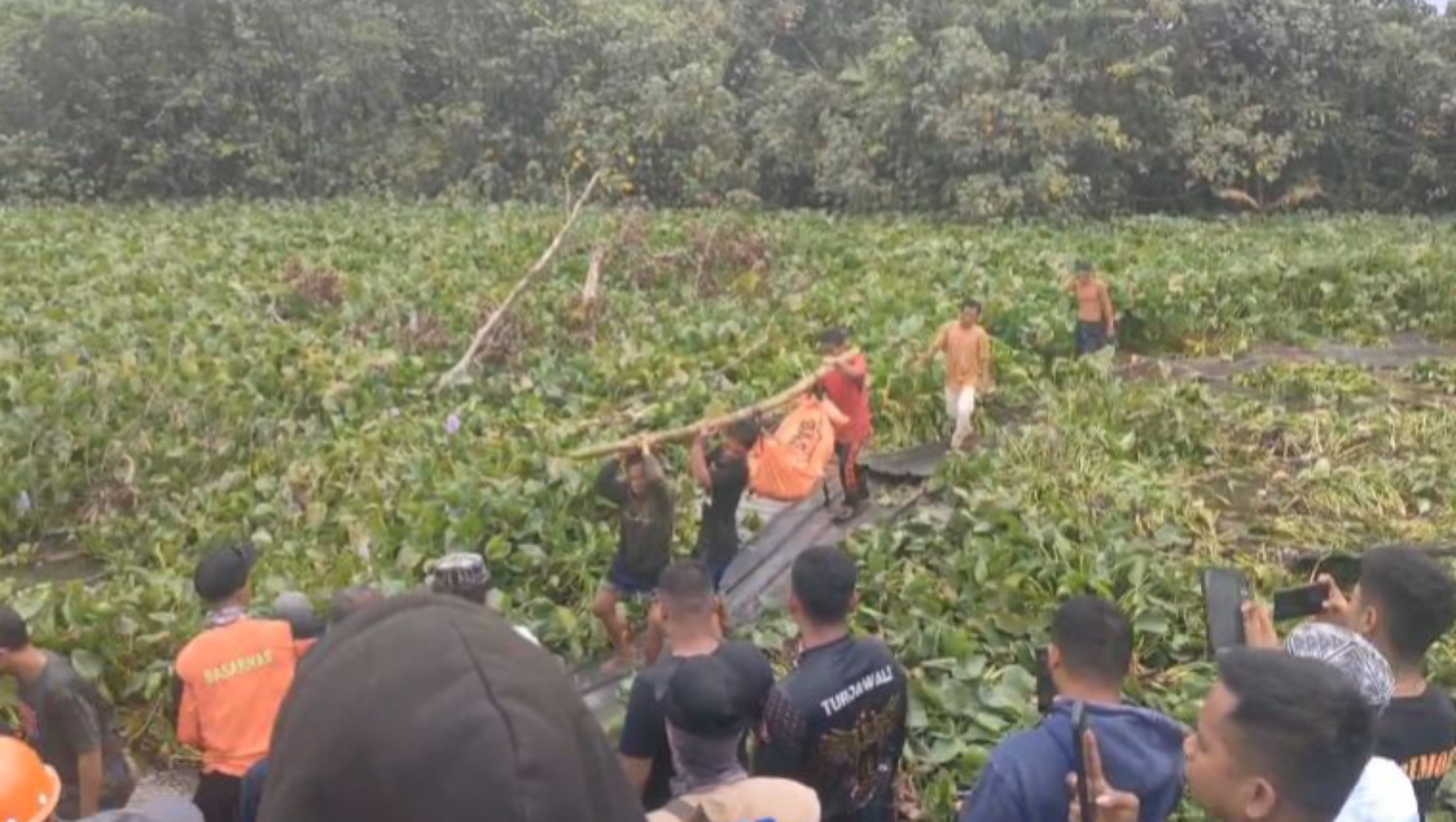 Hilang Usai Diterkam Buaya, Pria di Morowali Utara Ditemukan Meninggal Dunia