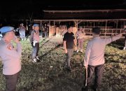 Arena Sabung Ayam di Petobo Palu Digerebek Polisi