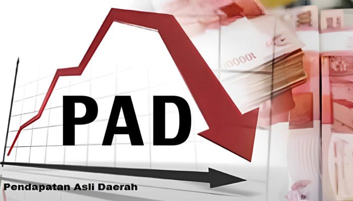 Soal Lemahnya Pendapatan Asli Daerah-Program Mudik Gratis Pemkot Palu, DPRD: Uangnya dari Mana?