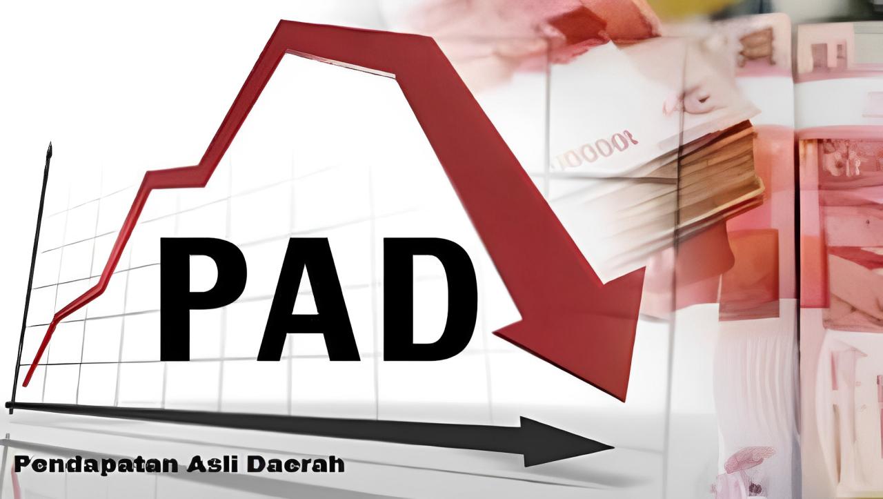 Soal Lemahnya Pendapatan Asli Daerah-Program Mudik Gratis Pemkot Palu, DPRD: Uangnya dari Mana?