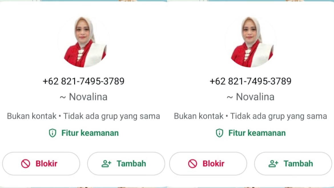 Hati-hati Modus Penipuan Catut Nama Sekprov Sulteng Novalina Wiswadewa