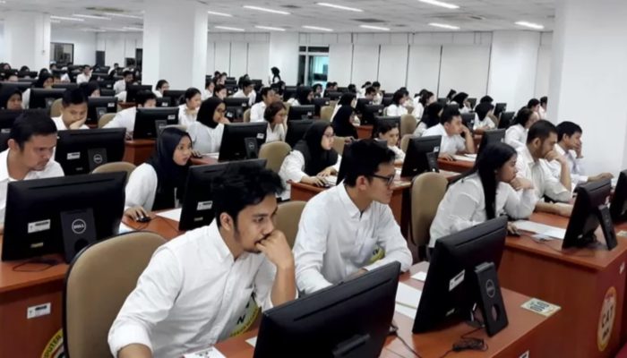 Pekan Depan Ujian Kompetensi PPPK Sulteng Tahap 2 Dimulai, Berikut 2 Lokasi yang Disiapkan BKD: Jangan Lupa Bawa 2 Dokumen Ini!