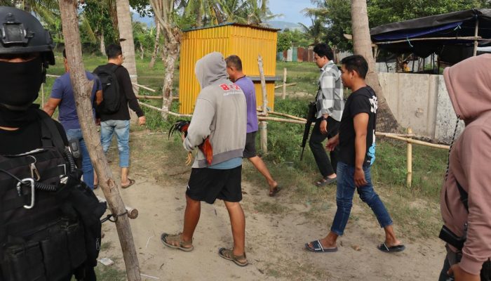 Arena Sabung Ayam Petobo Digerebek Polisi, Satu Pelaku Ditangkap
