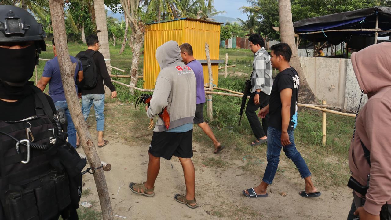 Arena Sabung Ayam Petobo Digerebek Polisi, Satu Pelaku Ditangkap