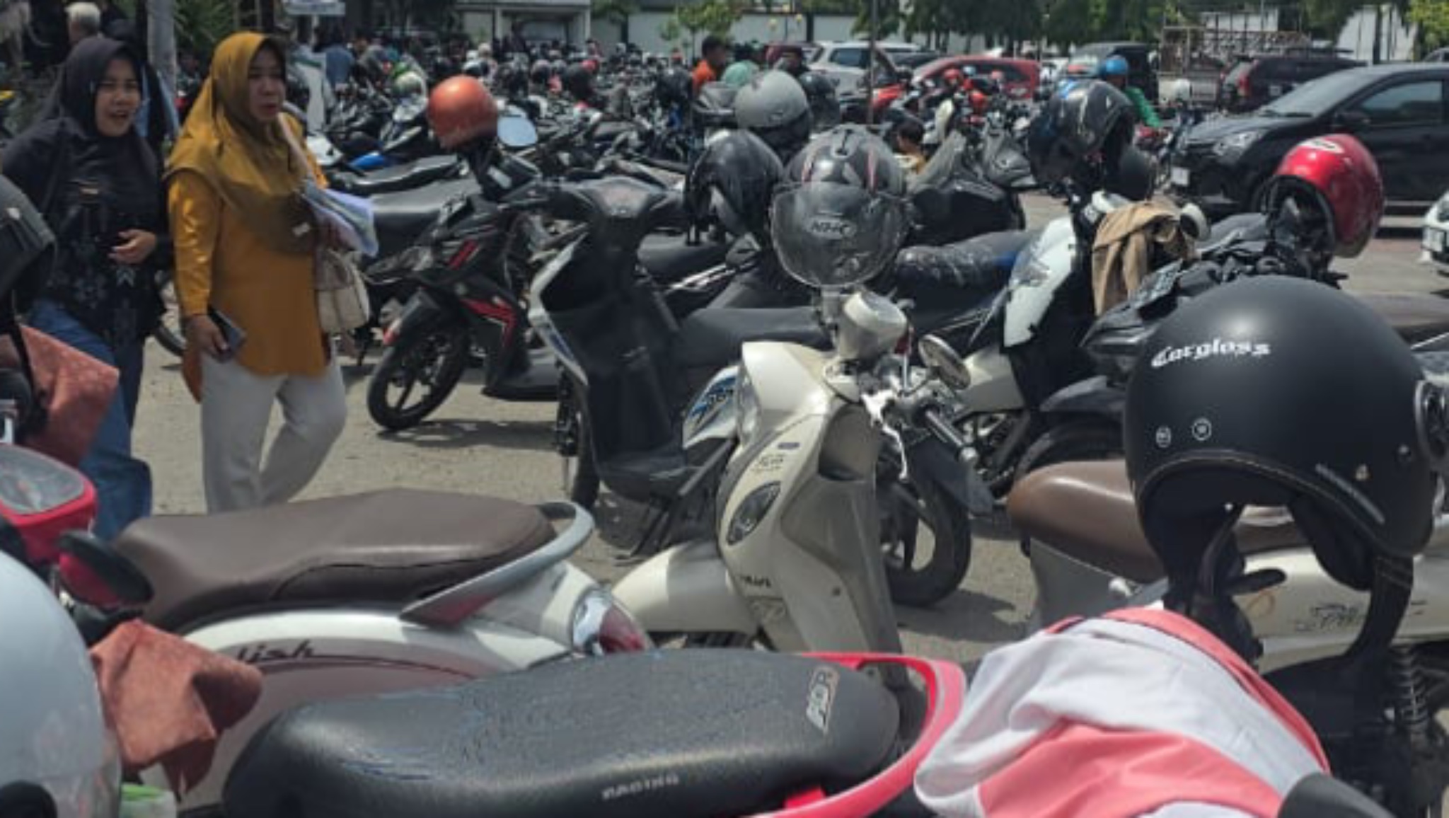 Program Pemutihan Pajak di Sulteng Tembus Rp 82 Miliar Selama Sebulan, Jaring 157 Ribu Kendaraan, Berikut Rinciannya