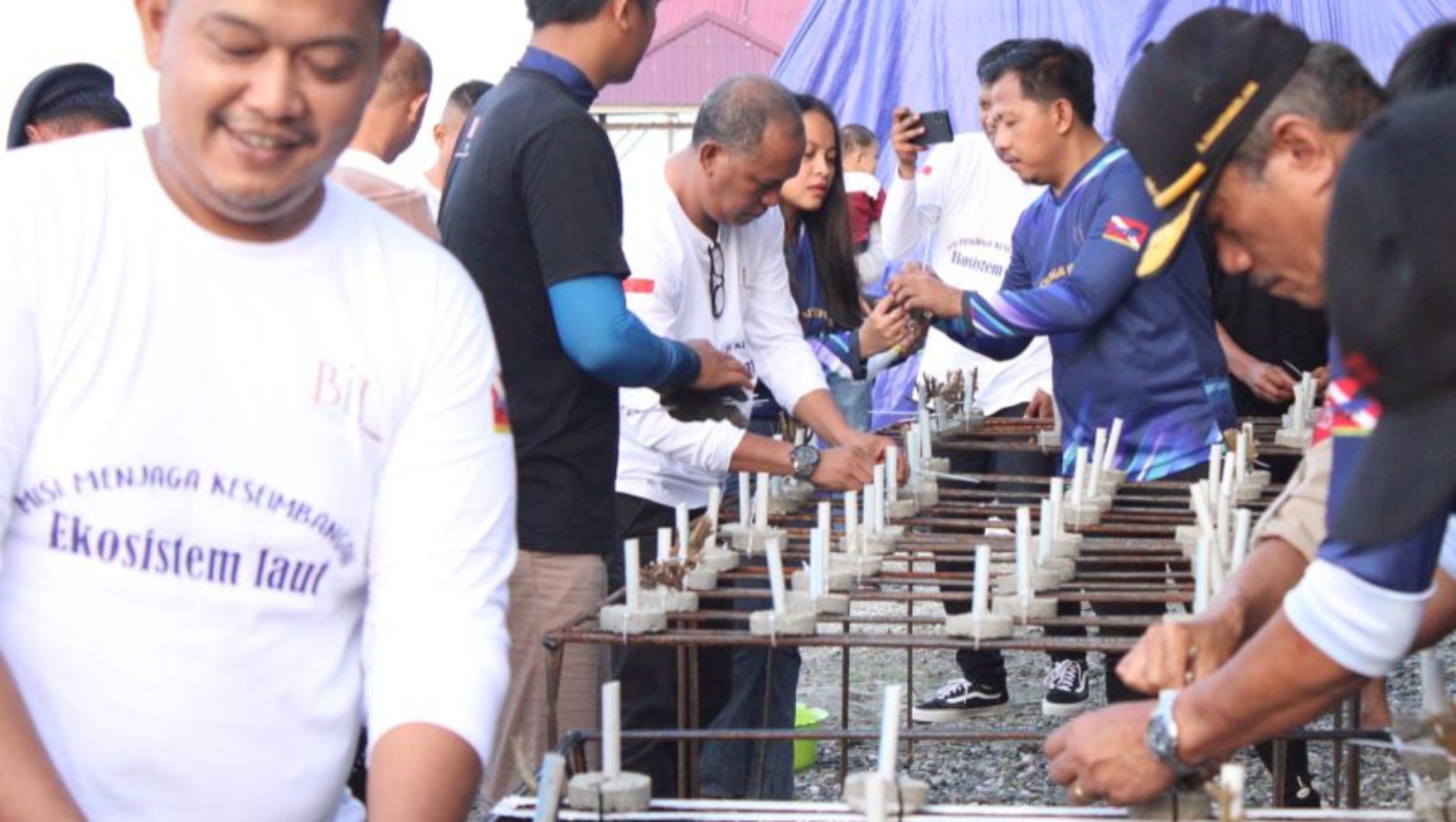 Pemda Morowali Luncurkan Program Rehabilitasi Terumbu Karang Sombori, Dorong Kelestarian dan Kesejahteraan Nelayan