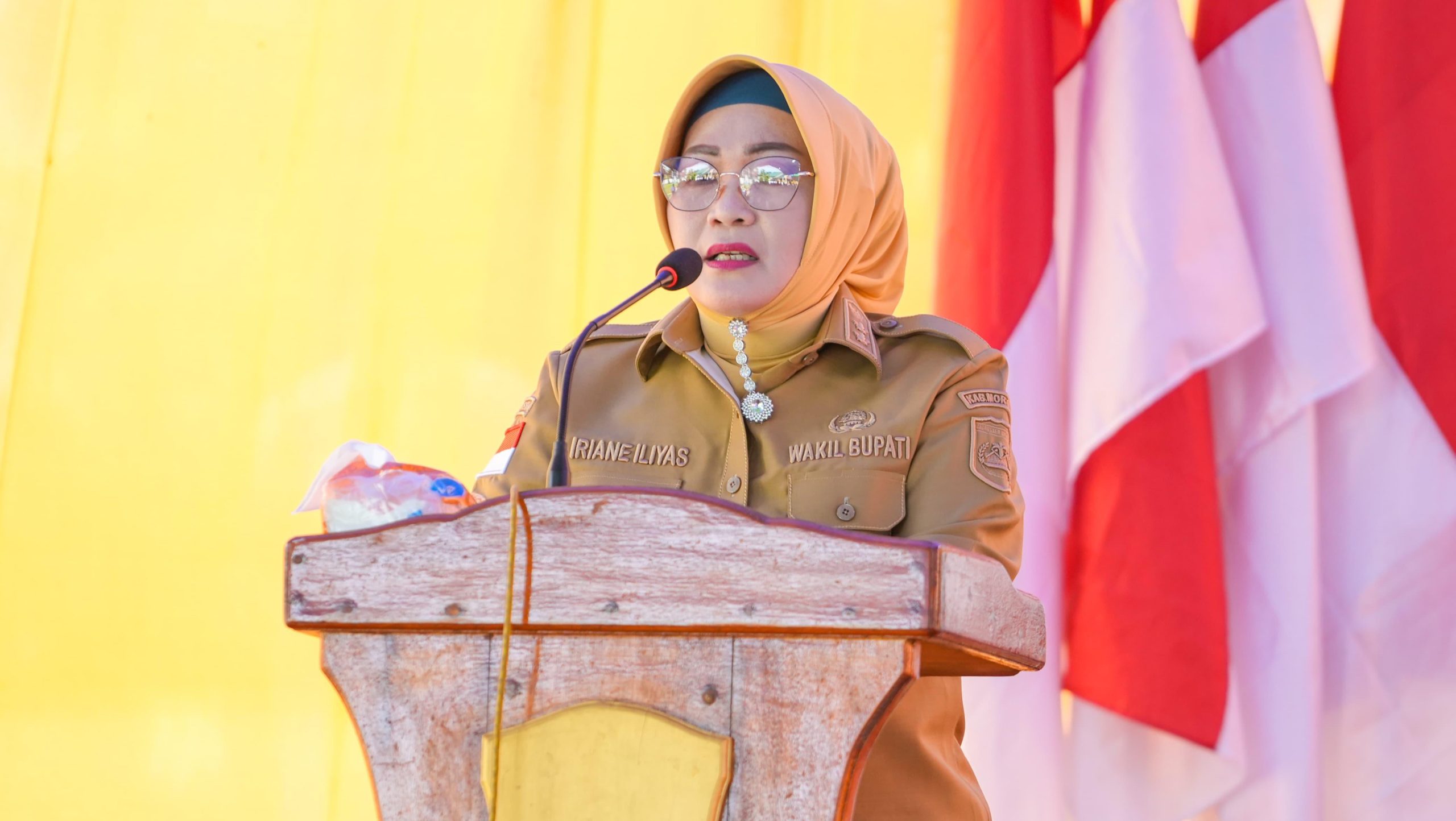 Wabup Iriane Iliyas Buka Lomba Desa dan Kelurahan 2025, Dorong Swasembada Pangan Berbasis Potensi Lokal