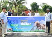 Huabao Salurkan 17 Sapi Kurban untuk Warga Bungku Barat dan Bumi Raya Morowali