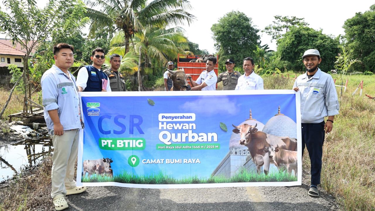 Huabao Salurkan 17 Sapi Kurban untuk Warga Bungku Barat dan Bumi Raya Morowali