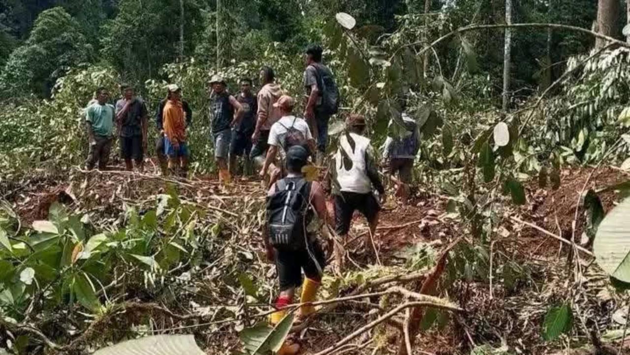 7 Warga Tertimbun Longsor di Desa Tirtanagaya Parigi Moutong, Tim Gabungan Tunggu Alat Berat Bantu Pencarian Korban