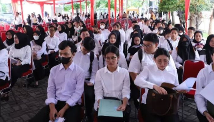 Calon PPPK Sulteng Tahap 2 Wajib Tahu! Berikut Cara Cek Hasil Seleksi dan Pahami Kode Kelulusan