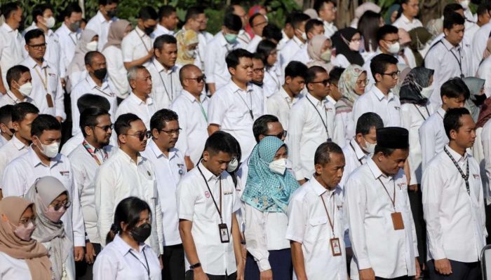 Honorer Sulteng Lulus Seleksi PPPK 2024 Jalur Optimalisasi Formasi Bisa Pindah Tugas? Begini Aturan dan Penjelasan BKD