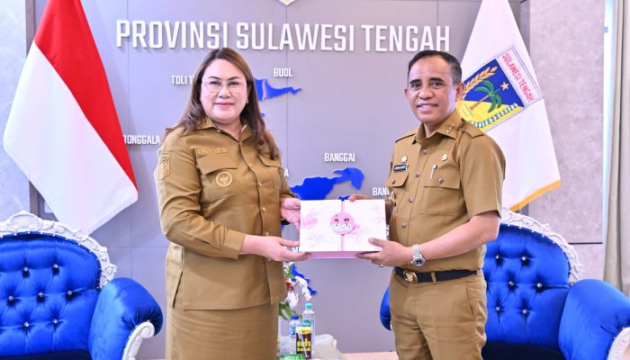 Anwar Hafid Sarankan Bupati Vera Elena Laruni Gandeng Konsultan Profesional untuk Menata Kota Donggala