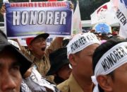 Nasib Para Tenaga Honorer Non Database BKN yang Tak Lulus Seleksi CPNS 2024 di Sulteng Masih Terkatung-katung, Begini Respons BKD