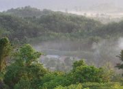 PT Agro Nusa Abadi Pastikan Proses Pengurusan HGU Berjalan Sesuai Aturan