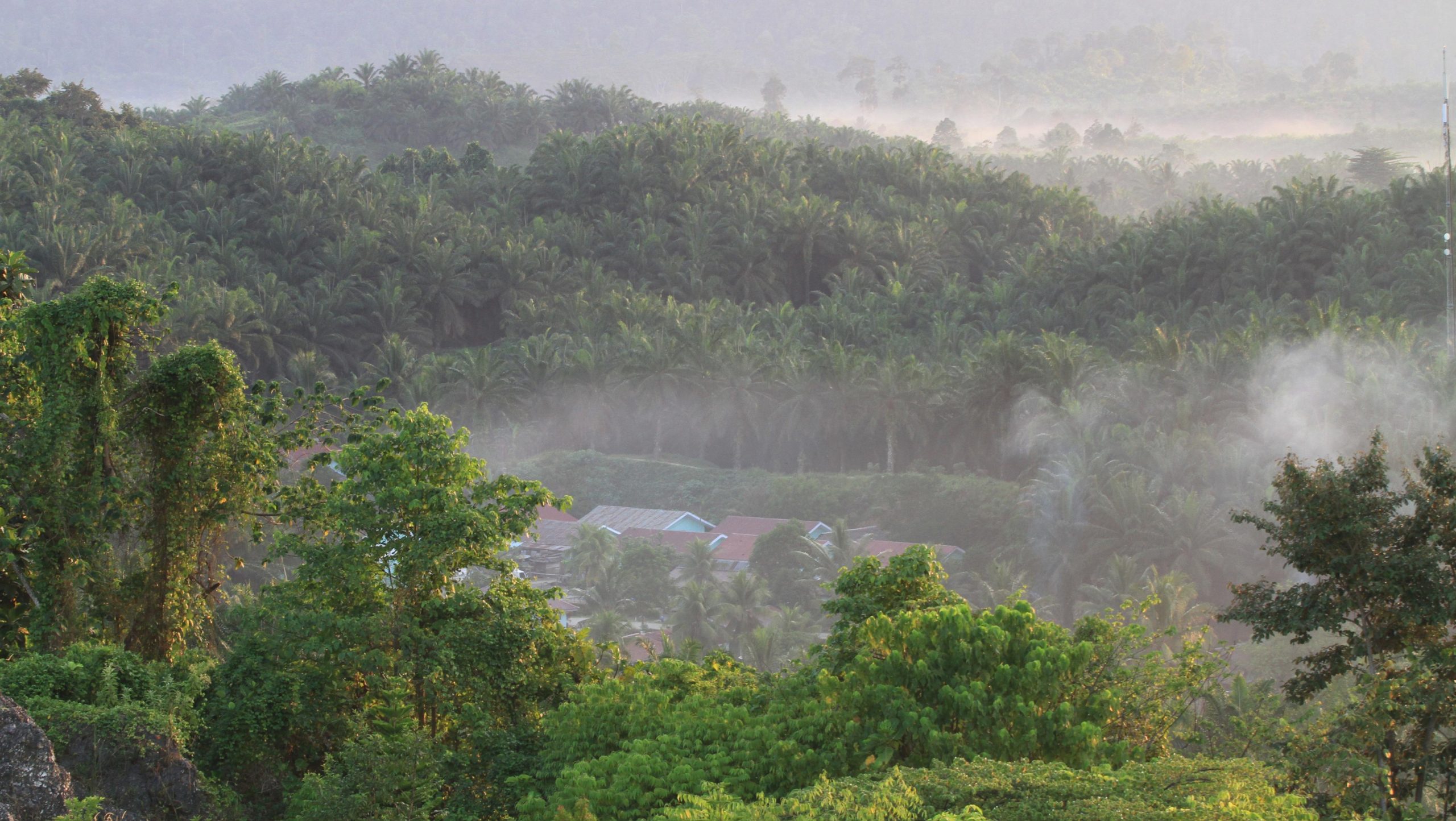 PT Agro Nusa Abadi Pastikan Proses Pengurusan HGU Berjalan Sesuai Aturan