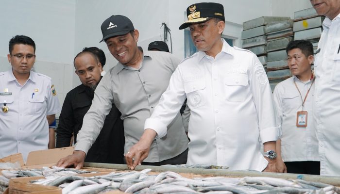 Gubernur Anwar Hafid Serap Aspirasi Nelayan di Pelabuhan Perikanan Mato Banggai Laut