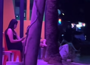 MUI Sulteng Minta Pemkot Palu Hentikan Aktivitas Prostitusi Tondo Kiri, Dorong Program Rehabilitasi dan Pemberdayaan Ekonomi