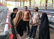 Kabid Pemberdayaan DPMD Sulteng Tinjau Lokasi Usaha Ternak Ayam Petelur dan Penggilingan Jagung di Desa Jono Oge