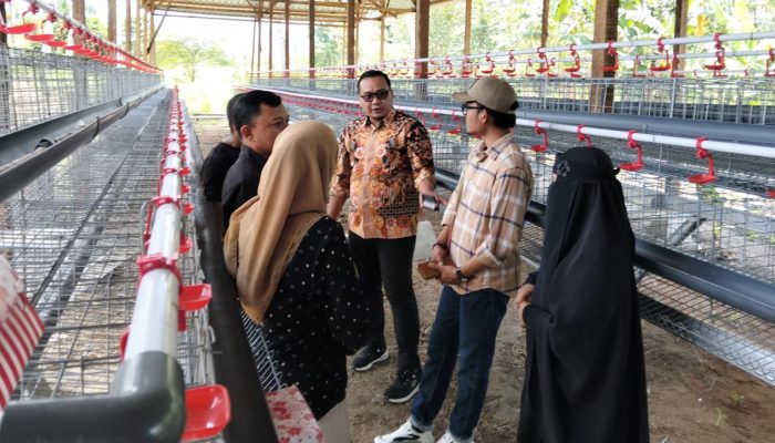 Kabid Pemberdayaan DPMD Sulteng Tinjau Lokasi Usaha Ternak Ayam Petelur dan Penggilingan Jagung di Desa Jono Oge